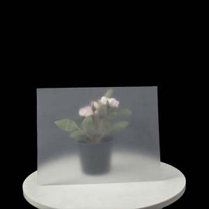 卸売 厚さ寸法はカスタマイズ可能 プラスチックフロスト仕上げ 透明PETフィルムまたはPETシート - Product Image 5