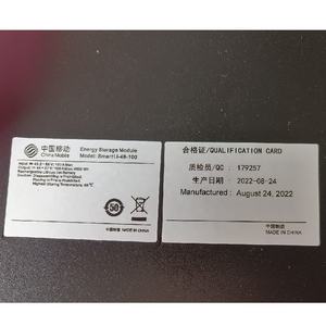 Módulo de Almacenamiento de Energía, Batería de Litio 48V 100ah SmartLi-48-100 Original <span class=keywords><strong>48100</strong></span> UPS EPS <span class=keywords><strong>ESM</strong></span>-48100B1/5 <span class=keywords><strong>ESM</strong></span>-48100A /4850A2/4875A1 - Product Image 2