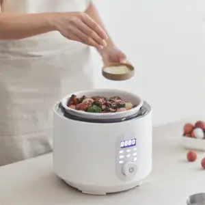 2023 Kitchen Appliances Multifunctional Electric Pressure Cooker 3L High Quality Pressure Rice Cooker