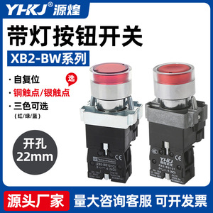 Xb2-Bw Series Flat Head <b>Push</b> <b>Button</b> <b>Switch</b> 22mm 10A 1No1Nc Illuminated Red Green Yellow Self-Resetting - Product Image 5