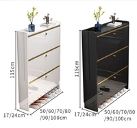 Meuble à chaussures en bois ultra-fin, moderne et élégant, haut de gamme, pour entrée, avec porte à battant, super lumineux, facile à assembler