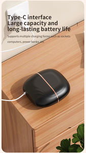 Brosse lissante portable OEM mini, rechargeable par USB, réglable, double usage humide/sec, pour hôtels, avec langues espagnole/française - Product Image 3