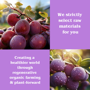 Detox Minceur Gelée Perte de Poids Rapide Brûlant Ventre Prune Gelée 10 sacs de Minceur Enzyme Gelée de Fruits - Product Image 3