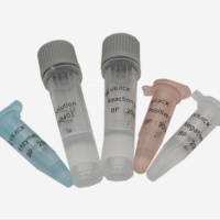 Kit de RT-PCR PCR en temps réel pour la détection de la piroplasmose équine Kit de test d'instrument vétérinaire du fabricant lyophilisé