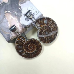 Venta al por mayor de fósiles de caracola natural, colgante de espécimen fósil de amonita arcoíris para collares de dijes - Product Image 5
