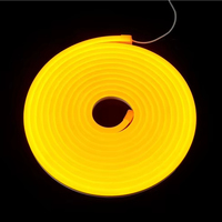 Lampu Neon Fleksibel LED Silikon Campuran 12V 24V Tahan Air IP65 6*12mm untuk Penggunaan Hotel Gulungan 5m Kelas Makanan Garansi 2 Tahun