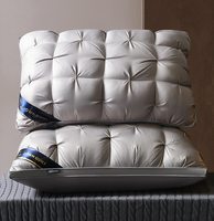Ensemble literie de luxe en duvet d'oie, coussin de lit, taille Standard, hypoallergénique, Collection d'hôtel