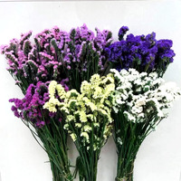 120g Gedroogde Limonium (Statice/Vergeet-mij-nietje) Bloemen, natuurlijk decoratief
