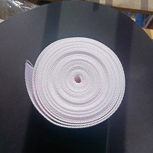 Cinta transportadora de polipropileno de 100 mm para la recolección de huevos en granjas avícolas, jaulas de gallinas ponedoras, recolección automática - Product Image 2