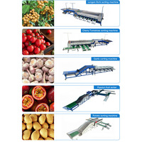 Commerciële citrus sorteermachine, automatische sinaasappel, peer en mandarijn sorteerder, 304 roestvrij staal, capaciteit 2-10 ton, fruitreiniging