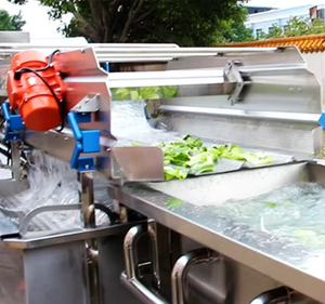Automatic 304 Stainless Steel <b>Fruit</b> <b>Vegetable</b> Washing <b>Machine</b> for Leafy Greens Cabbage-Engine Core <b>Vegetable</b> <b>Processing</b> Plant - Product Image 5