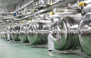 מכירה חמה ירקות ופטריות מיובשים בהקפאה מיובשים בתפזורת עבור אבקות ומתכונים לקוביות - Product Image 6