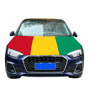 Couverture nationale de capot de voiture abordable drapeau guinée couverture de moteur de voiture drapeau vente directe d'usine tissu polyester - Product Image 5