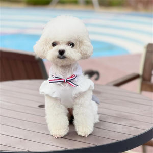 25AW hewan peliharaan Bichon Pomeranian Teddy anjing kecil gaya kuliah pakaian anjing 2 potong Set Gaun + rompi - Product Image 6