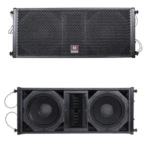 T.I brand all over the world 2-Way Line Array double 10-inch Neodymium outdoor show Professional Sound System