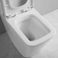 WC en céramique sans bride, à poser au sol, avec réservoir intégré, certifié Watermark, deux pièces, avec suite de toilettes intégrée