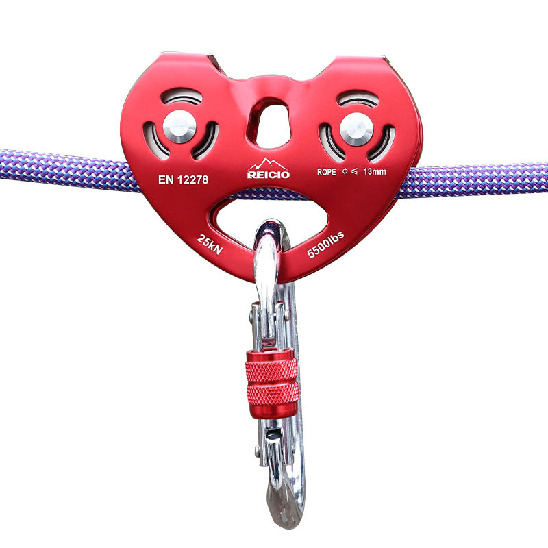 Two way Automatic Following Fall Arrestor