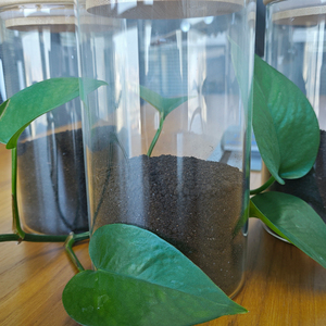 Engrais à base d'acides aminés respectueux de l'environnement, amélioration du sol, engrais bio-organique pour l'agriculture - Product Image 2