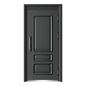 现代设计的家用和商用高安全性钢门防盗功能成品表面手动开启 - Product Image 6