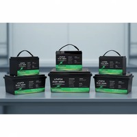 Batterie personnalisée modèle 12100, étanche IP68, coque ABS pour stockage solaire domestique (6000 cycles), OEM LiFePO4 12.8V/25.6V