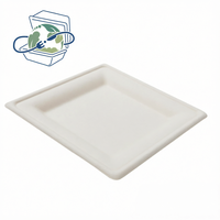 Assiette carrée de 8 pouces en bagasse de canne à sucre, biodégradable et jetable, pour la restauration à emporter