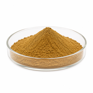 Extracto de <span class=keywords><strong>Houttuynia</strong></span> Cordata en Polvo, P.E. de Heartleaf <span class=keywords><strong>Houttuynia</strong></span> Suministro a Granel de Extractos de Plantas - Product Image 1