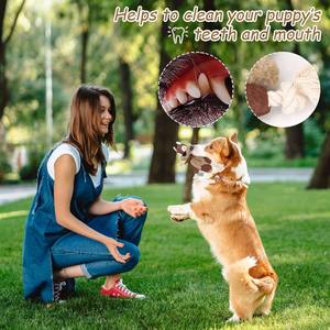 カスタマイズされた卸売犬のきしむおもちゃ耐久性犬の噛むコンパニオンおもちゃトレーニングリスクマキツネ - Product Image 5