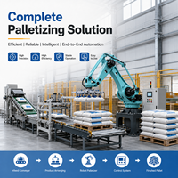 Robot Palletizer Industri Otomatis 4 Axis untuk Kotak Minuman - Merek RISITONG, Baja Karbon, Kondisi Baru