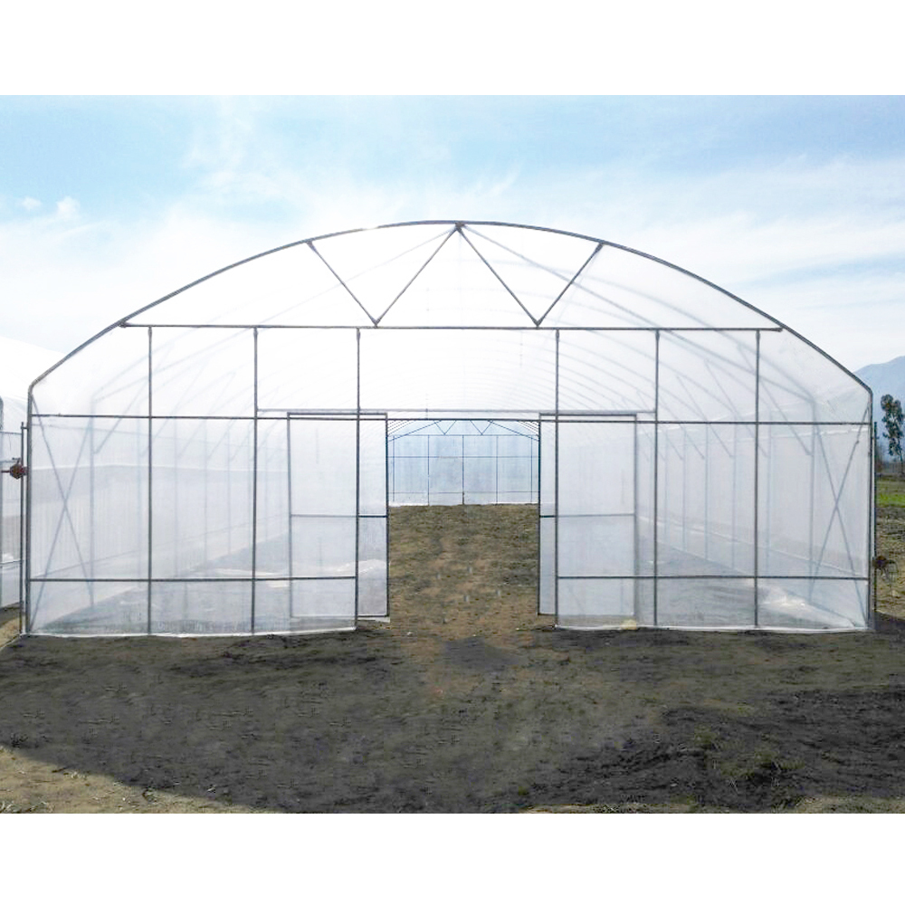 Commercial Plastic Greenhouse Film для Green House, Greenhouse для Agriculture, Easy Install, картонная коробка с помидорами, multi пролетов, Factory Price