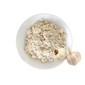 Ventas de fábrica, extracto de ajo deshidratado <span class=keywords><strong>blanco</strong></span> de grado alimenticio Natural puro, polvo de ajo seco para alimentos - Product Image 1