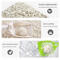Litière pour chat en tofu OEM ODM, agglomération rapide, biodégradable, faible odeur, litière pour chat en tofu pour les détaillants en produits pour animaux de compagnie