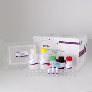 Wholesale Brucella bp26 Protein ELISA Antibody Detection <strong>Kit</strong> for Veterinary Diagnosis, High Sensitivity &amp; Specificity - Product Image 5