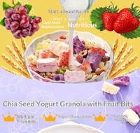 Sereal Instan Manis Tanpa Digoreng, Granola Buah Yogurt Chia Panggang, Oat Crisp, Nutrisi Pagi, Siap Saji, Kemasan Sachet
