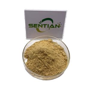 Vente entière extrait de plante pur naturel Polygonatum Odoratum extrait poudre 30% 50% polysaccharide Solomonseal - Product Image 1