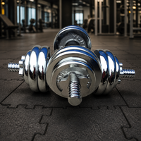 Ensemble d'haltères réglables 20 kg en fonte électrolytique, poids de gym à domicile, boîte portable pour l'entraînement de force du corps entier