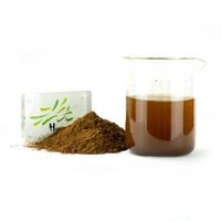Extrait de Ganoderma Lucidum de qualité alimentaire pur polysaccharide Reishi poudre d'extrait de protéines de champignons dans un emballage à tambour