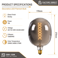 Ampoule LED Fumée de Luxe Antique DG170 7W E26 400LM 2200K, Lampe à Filament Décorative Vintage pour Villa et Hôtel, Éclairage Bronze CE UL