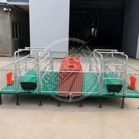 Nouvelle cage de mise bas Agricon double face, ensemble complet, galvanisée à chaud, pour truies, avec auge en acier galvanisé de type H, longue durée de vie