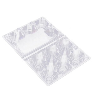 6 Eggs Plastic Tray Carton Containers
