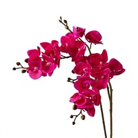 Anggrek Phalaenopsis 2 Cabang Kecil dengan Sentuhan Sutra dan Efek Melembapkan, Bunga Laminasi, Cetakan Injeksi, Cetak 3D, Buatan