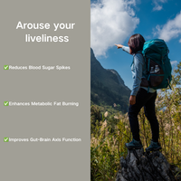 Capsules de chlorhydrate de berbérine OEM Direct : Complément pour adultes pour le système immunitaire et le métabolisme du glucose, Capsules d'extrait de valériane OEM