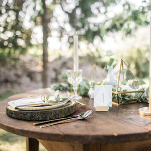 Fetta di legno decorativa all'ingrosso su ordinazione della decorazione del tavolo del chip di legno della decorazione del ceppo della decorazione di nozze - Product Image 4