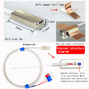 <strong>Pt100</strong>/Pt1000 Platinum Thermistor Roll End Encapsulation Waterproof Oil <strong>Temperature</strong> Probe Surface Armored <strong>Temperature</strong> <strong>Sensor</strong> - Product Image 2