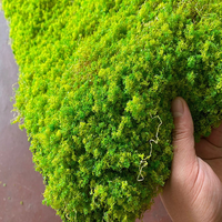 Feuille de mousse artificielle verte réaliste, tapis floqué 3D pour terrarium, bonsaï, mur végétal miniature, artisanat DIY