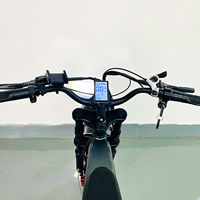 Bicicleta Eléctrica Multiusos de 20 Pulgadas, 48v 25AH, Bicicleta Eléctrica de Montaña, Bicicleta Eléctrica para Adultos, para Entrega de Comida