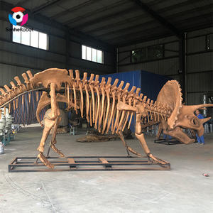 Exhibición de museo, modelo de <span class=keywords><strong>esqueleto</strong></span> de <span class=keywords><strong>dinosaurio</strong></span>, fósil, <span class=keywords><strong>esqueleto</strong></span> de <span class=keywords><strong>dinosaurio</strong></span> de tamaño <span class=keywords><strong>Real</strong></span> - Product Image 1