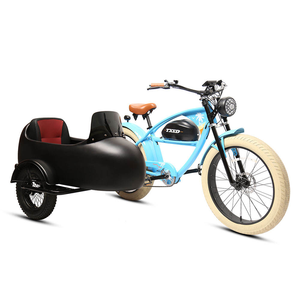 Bicicleta Eléctrica TXED de 48V 15Ah con Motor de Cubo Trasero Estilo Europeo, 250W de Potencia sin Escobillas con Batería de Litio, Motocicleta Eléctrica - Product Image 1