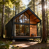 Maison de jardin moderne en métal et bois de luxe, préfabriquée, maison-conteneur, studio avec jardin sur le toit