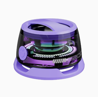 Cadeau d'entreprise promotionnel, solaire portable, alimenté par DC 1.5, pour haut-parleur V2.0, autonomie de la batterie de 15 à 20 heures, LED RVB, support de téléphone, radio FM