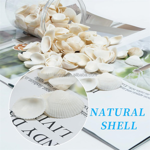 Conchas Marinas Naturales Pequeñas y Blancas para Manualidades, Decoración, Fiestas en la Playa, Relleno <span class=keywords><strong>de</strong></span> Peceras, Accesorios para Pulseras - Product Image 3